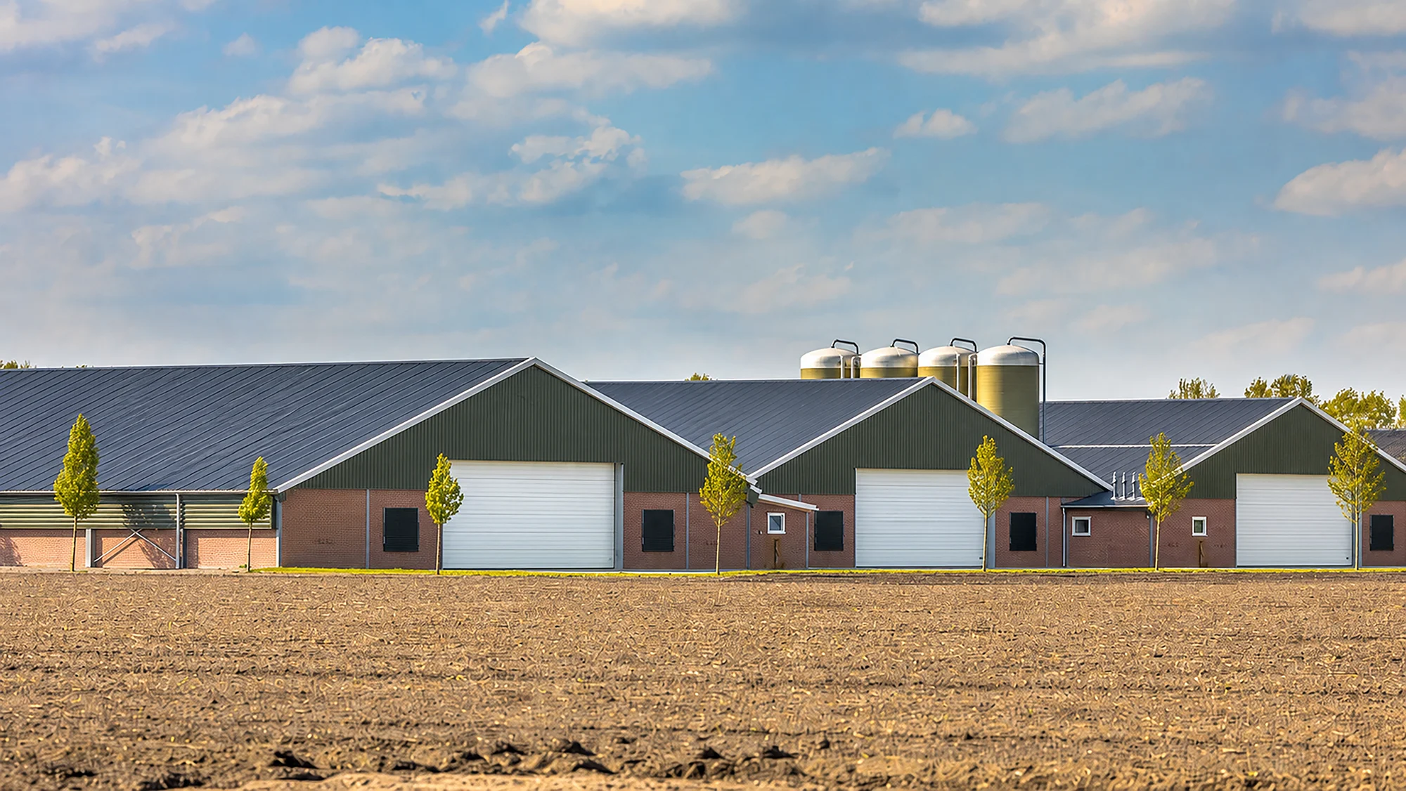 images/gallery-pulse-600-series/02-large-farm-building-with-rolling-steel-doors.webp images/gallery-pulse-600-series/02-large-farm-building-with-rolling-steel-doors.webp